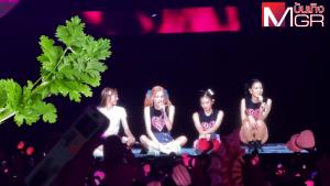 สรุปดรามา "ผักชี" กลางคอนเสิร์ต "BLACKPINK" (คลิป)