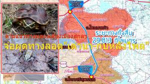 จ่อผุดทางลอด “เต่านา-กบหลังไพล” ตามแนวทางหลวงเลี่ยงเมืองสกลฯ 29 กม.มูลค่าโครงการ 2 พันล้าน