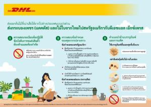 ผู้ค้ากระบองเพชร-ไม้ใบจากไทยเฮ ดีเอชแอล เอ๊กซ์เพรสส่งด่วนถึงอเมริกา