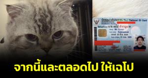 "เค ดิษพงศ์" ระลึกถึงแมวสุดรัก เปลี่ยนชื่อจริงเป็น "เฉโป" เผยจากนี้และตลอดไป ให้เฉโป