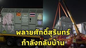 “พลายศักดิ์สุรินทร์” ขึ้นเครื่องแล้ว คาด 14.00 น.ถึงไทย