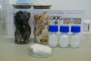 ฝีมือนักวิจัยไทย! เปลี่ยน “เปลือกหอยแมลงภู่” สู่สารเคลือบช่วยดูดซับคราบน้ำมัน คว้า 2 รางวัลจากเวทีระดับนานาชาติ