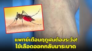 ‘หมอมนูญ’ เตือน! ช่วงฤดูฝนไข้เลือดออกกลับมาระบาด ย้ำอย่าให้ยุงลายกัด
