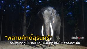 "พลายศักดิ์สุรินทร์" กลับสู่มาตุภูมิในรอบ 22 ปี ยังไม่ชัวร์ส่งไป "ศรีลังกา" อีก : ข่าวเด็ดแมเนเจอร์
