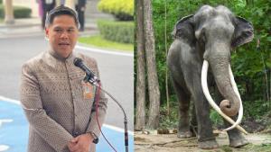 “วราวุธ” เผยแพทย์เตรียมรักษา “พลายศักดิ์สุรินทร์” จับตาสถานการณ์นำเชือกอื่นกลับจากศรีลังกาหรือไม่