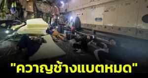 เปิดภาพเบื้องหลัง "ควาญช้างแบตหมด" ภารกิจพา "พลายศักดิ์สุรินทร์" กลับเมืองไทย