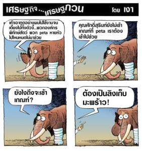 เกณฑ์ของpeta