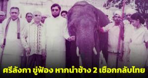 ศรีลังกาขู่ฟ้องเรียกค่าเสียหาย หากนำ "พลายประตูผา-พลายศรีณรงค์" กลับไทย