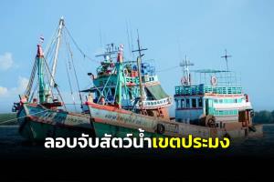 จับกุมเรือประมงพาณิชย์ลักลอบจับสัตว์น้ำในเขตประมง 3 ไมล์ทะเล จ.นราธิวาส