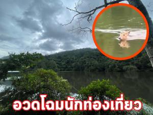 (คลิป) สุดน่ารัก “เก้ง” ว่ายน้ำข้ามห้วยตาโบ จ.จันทบุรี อวดสายตานักท่องเที่ยว