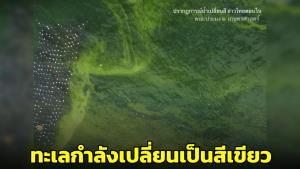 “ดร.ธรณ์” เผยงานวิจัยชี้ชัด ทะเลเรากำลังเปลี่ยนเป็นสีเขียวบ่อย-รวดเร็ว จากภาวะโลกร้อน