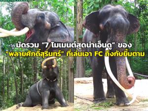 มัดรวม “7 โมเมนต์สุดน่าเอ็นดู” ของ “พลายศักดิ์สุรินทร์” ที่เล่นเอา FC ถึงกับยิ้มตาม