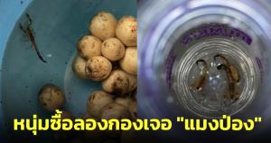 หนุ่มเตือนภัย! ซื้อลองกอง 2 กก.เจอ "แมงป่อง" 4 ตัว ซ้ำโดนต่อยด้วย