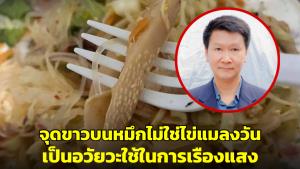 อ.เจษฎาเผยหลังสาวซื้อยำเจอจุดขาวบนหมึก คืออวัยวะที่ใช้ในการเรืองแสง ไม่ใช่ไข่แมลงวัน