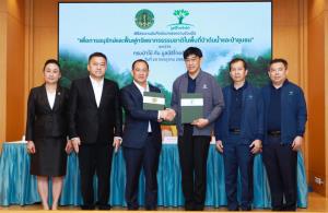 กรมป่าไม้-มูลนิธิไทยฯ ร่วมอนุรักษ์ฟื้นฟูป่าต้นน้ำ