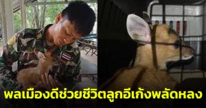 ชื่นชม! พลเมืองดีแจ้งเจ้าหน้าที่ช่วยชีวิตลูกอีเก้งพลัดหลง และส่งมอบให้ศูนย์ช่วยเหลือสัตว์ป่าดูแลต่อ