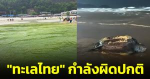 “ดร.ธรณ์” เผย "ทะเลไทย" กำลังผิดปกติ หลังเกิด 2 เหตุการณ์ธรรมชาติแปรปรวนหนัก