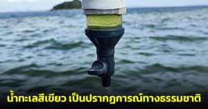 กรมทะเลชายฝั่งแจงน้ำทะเลเกาะล้านเป็นสีเขียว เผยเป็นปรากฏการณ์ทางธรรมชาติไม่อันตรายต่อสัตว์