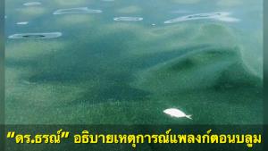 “ดร.ธรณ์” อธิบายเหตุการณ์แพลงก์ตอนบลูมในอ่าวไทย ย้ำโลกร้อนแรงขึ้น ทะเลใกล้เดือด