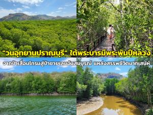 “วนอุทยานปราณบุรี” ใต้พระบารมีพระพันปีหลวง จากป่าเสื่อมโทรมสู่ป่าชายเลนอันสมบูรณ์ แหล่งสรรพชีวิตมากเสน่ห์