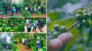 BEDO ร่วมมือกับ มีวนา ทำการประเมินมูลค่าบริการระบบนิเวศของป่าในพื้นที่อนุรักษ์ ภายใต้โครงการกาแฟอินทรีย์รักษาป่า  เชียงราย