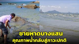 เผยภาพ! ชายหาดบางแสนคุณภาพน้ำกลับสู่ภาวะปกติ แต่ควรระวังการเข้าสู่ร่างกาย