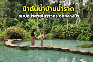 "ป่าต้นน้ำบ้านน้ำราด" ชมบ่อน้ำสวยใสราวกระจกกลางป่า