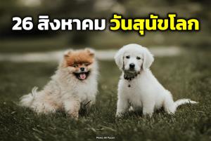 26 สิงหาคม วันสุนัขโลก