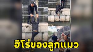 ชาวเน็ตยกเป็นฮีโร่! 2 หนุ่มระดมวิธีช่วยลูกแมวตกน้ำ ก่อนช่วยเหลือสำเร็จ