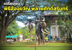 ศูนย์อนุรักษ์ช้างไทย ประกาศข้อปฏิบัติการเข้าชม “พิธีฮ้องขวัญ พลายศักดิ์สุรินทร์” 28 ส.ค. นี้