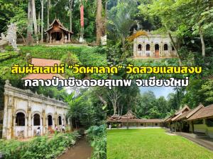 สัมผัสเสน่ห์ “วัดผาลาด” วัดสวยแสนสงบกลางป่า เชิงดอยสุเทพ