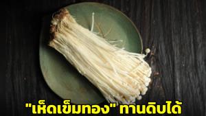 อ.เจษฎ์ยันเห็ดเข็มทองกินดิบได้ แต่เสี่ยงปนเปื้อนเชื้อแบคทีเรีย-ย่อยยาก กินสุกดีกว่า