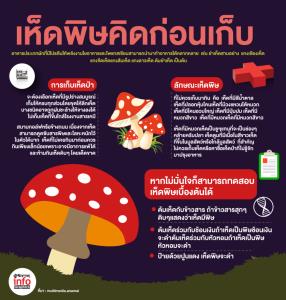 เห็ดป่า…เห็ดพิษคิดก่อนเก็บ
