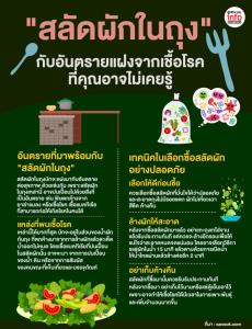 "สลัดผักในถุง"  กับอันตรายแฝงจากเชื้อโรค  ที่คุณอาจไม่เคยรู้