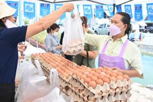 “พาณิชย์”เผยไข่ไก่ราคาเริ่มลด ยันปริมาณมีเพียงพอ ย้ำที่ไหนมีปัญหา พร้อมเปิดจุดขาย