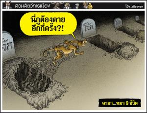 ฉายา...หมา 9 ชีวิต