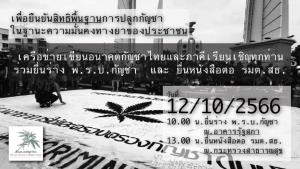 เครือข่ายกัญชาฯ นัดยื่นร่าง พ.ร.บ.ต่อสภา 12 ต.ค.นี้ ก่อนยื่น รมว.สธ.จี้ใช้ข้อเท็จจริงกำหนดสถานะกัญชา