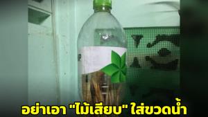 วอนอย่านำ "ไม้เสียบลูกชิ้น" ยัดใส่ขวดน้ำ ชี้เพิ่มภาระคนแยกขยะ แถมไม่สามารถนำไปรีไซเคิลได้