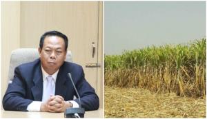 จับตาราคาอ้อยขั้นต้นปี 66/67 จ่อทำสถิติใหม่สูงสุดเป็นประวัติการณ์