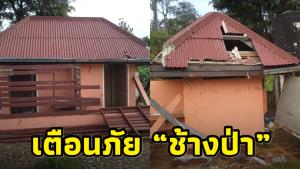 “อุทยานแห่งชาติทองผาภูมิ” เตือน นทท.เลี่ยงการเดินทางกลางคืน หวั่นเจอช้างป่าตามเส้นทาง