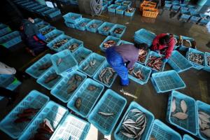 กองทัพสหรัฐฯ รับซื้อ ‘อาหารทะเลญี่ปุ่น’ บรรเทาผลกระทบหลังโดน 'จีน' สั่งแบน