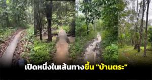 (ชมคลิป) เปิดหนึ่งในเส้นทางขึ้น "บ้านตระ" เทือกเขาบรรทัด พื้นที่ 'แป้ง นาโหนด' หลบซ่อนตัว