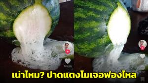 เน่าไหม? ปาดแตงโม พร้อมตั้งคำถาม? หลังฟองไหลออกมา แถมกลิ่นฉุน (ชมคลิป)