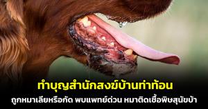 เตือนชาวพุทธ! ทำบุญ "สำนักสงฆ์บ้านท่าท้อน" ถูกหมาเลีย หรือกัด พบแพทย์ด่วน หมามีพิษสุนัขบ้า