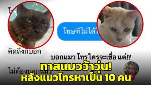 ทาสแมวอึ้ง! เผยภาพแมว 2 ตัวก่อเรื่องตอนทาสหลับ กดโทรศัทพ์โทร.หาเป็น 10 คน (ชมคลิป)