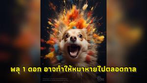 เพจดังวอน! เลิกจุดประทัด พลุ เพราะอาจทำให้หมาหายไปตลอดกาล