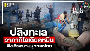 ปลิงทะเล ราคากิโลเฉียดหมื่น ดึงประมงเวียดนาม บุกทะเลไทย
