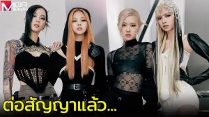YG หุ้นพุ่ง หลัง Blackpink ต่อสัญญา