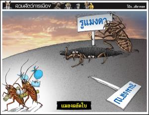 แมลงผลัดใบ