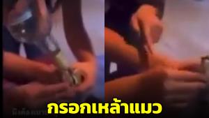 พิเรนทร์! สาวกรอกเหล้าเข้าปากแมว เอามือบีบปากไม่ให้สำลักซ้ำ เร่งล่าตัวชี้เข้าข่ายทารุณกรรมสัตว์ (ชมคลิป)
